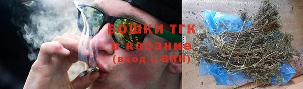 тгк Абаза